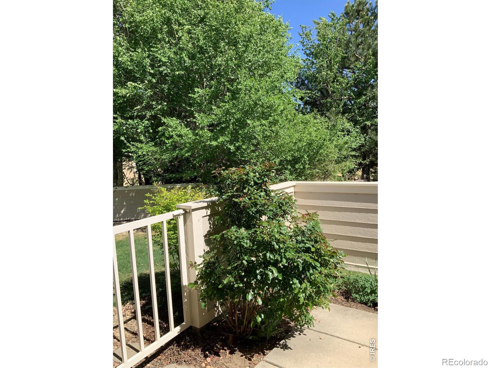MLS Image #16 for 907  hover ridge circle,longmont, Colorado