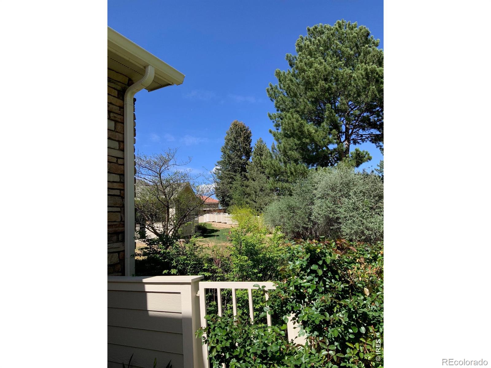 MLS Image #17 for 907  hover ridge circle,longmont, Colorado