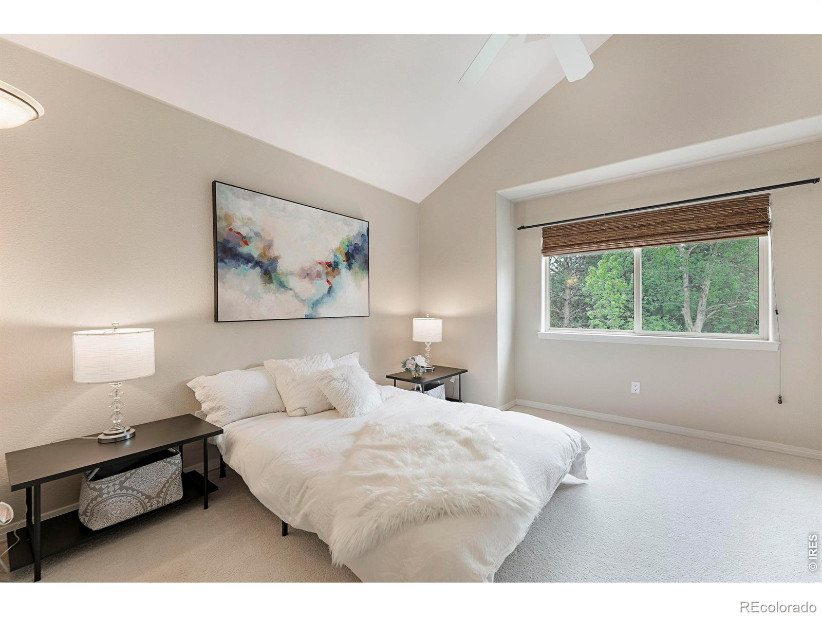 MLS Image #21 for 907  hover ridge circle,longmont, Colorado