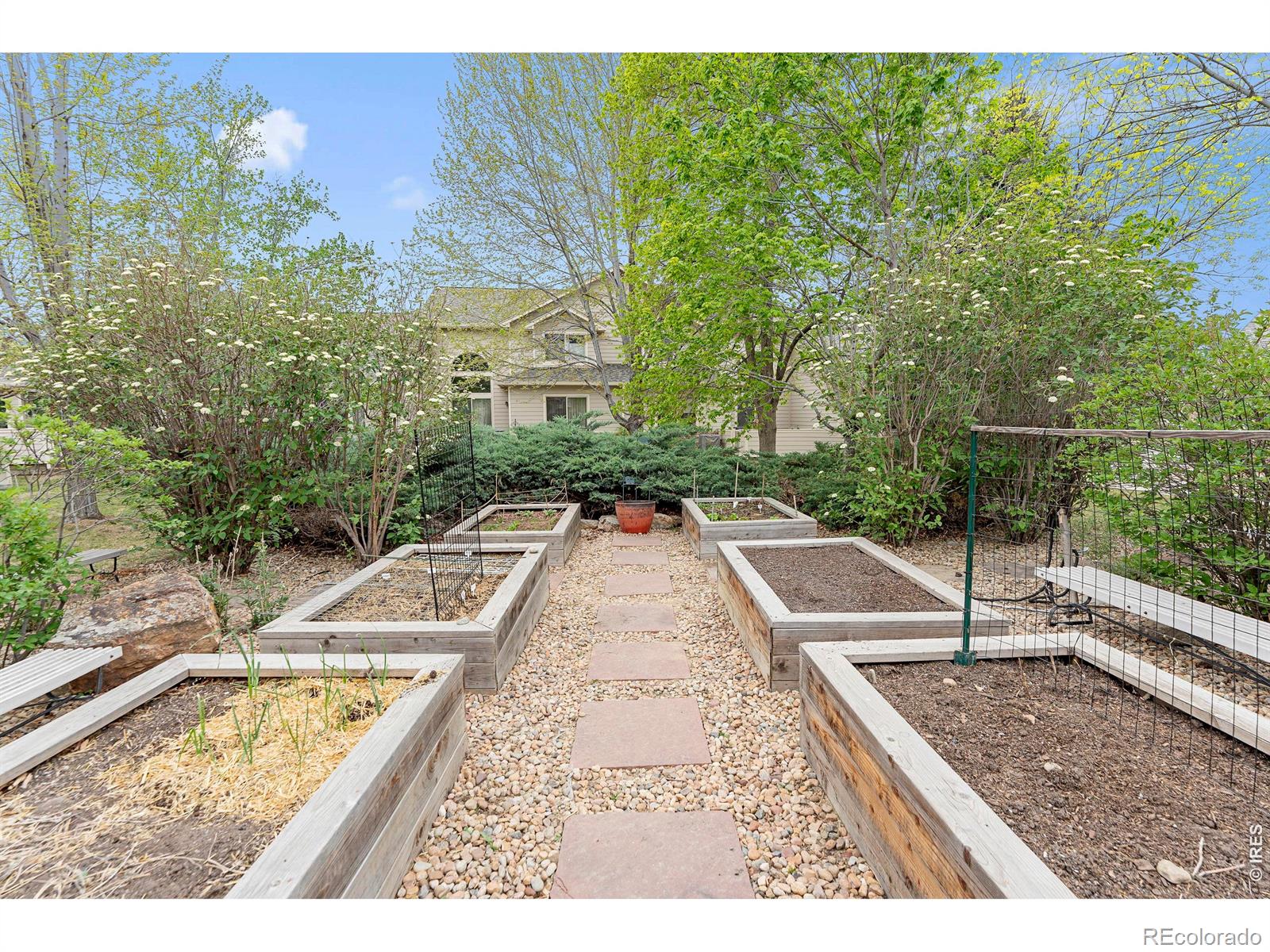 MLS Image #38 for 907  hover ridge circle,longmont, Colorado