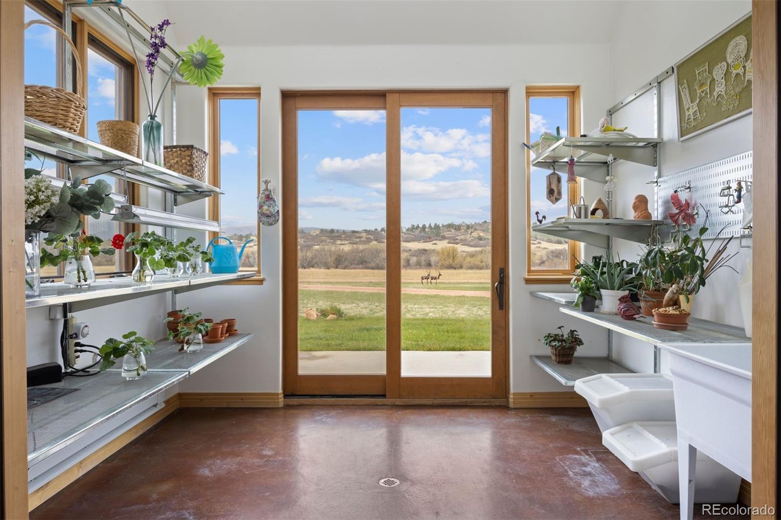 MLS Image #30 for 801  allis ranch road,sedalia, Colorado