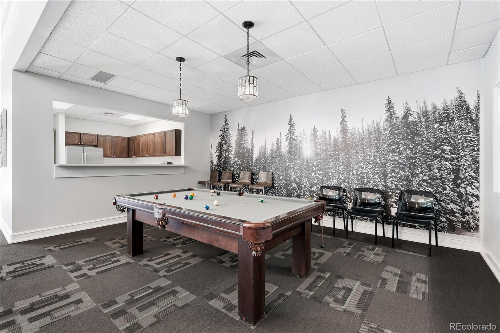 MLS Image #15 for 1150  inca street,denver, Colorado