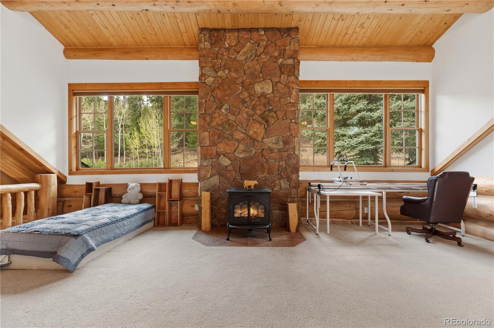 MLS Image #19 for 8477  drew hill road,golden, Colorado
