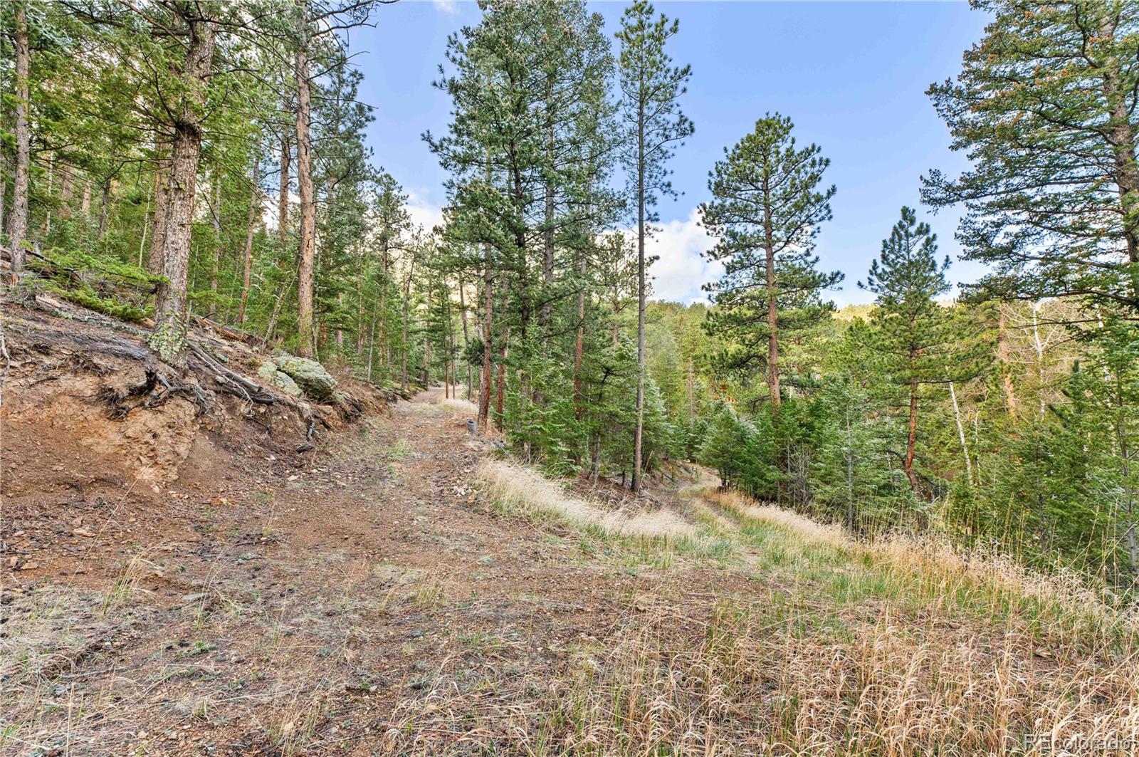 MLS Image #36 for 8477  drew hill road,golden, Colorado