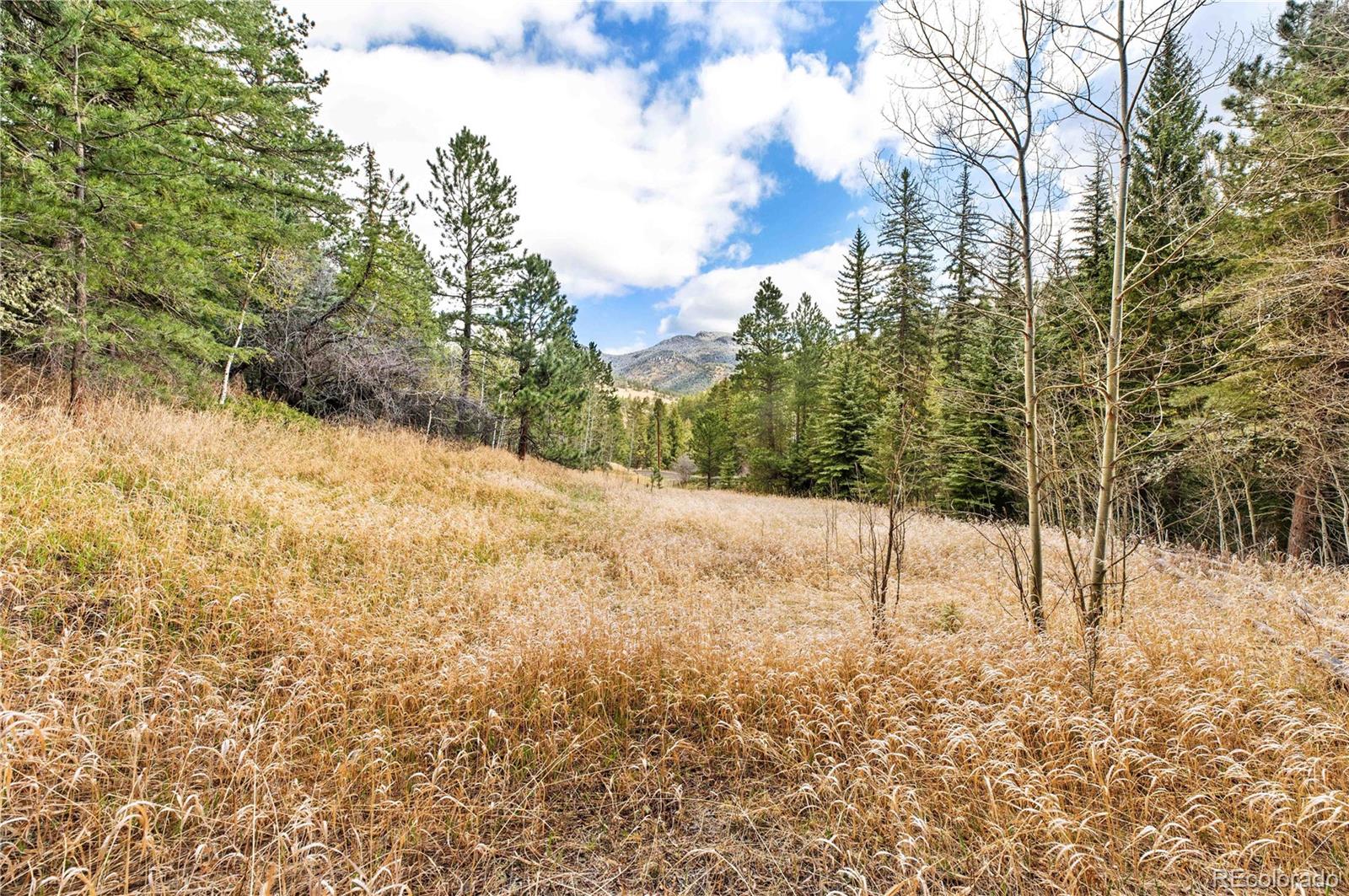 MLS Image #37 for 8477  drew hill road,golden, Colorado