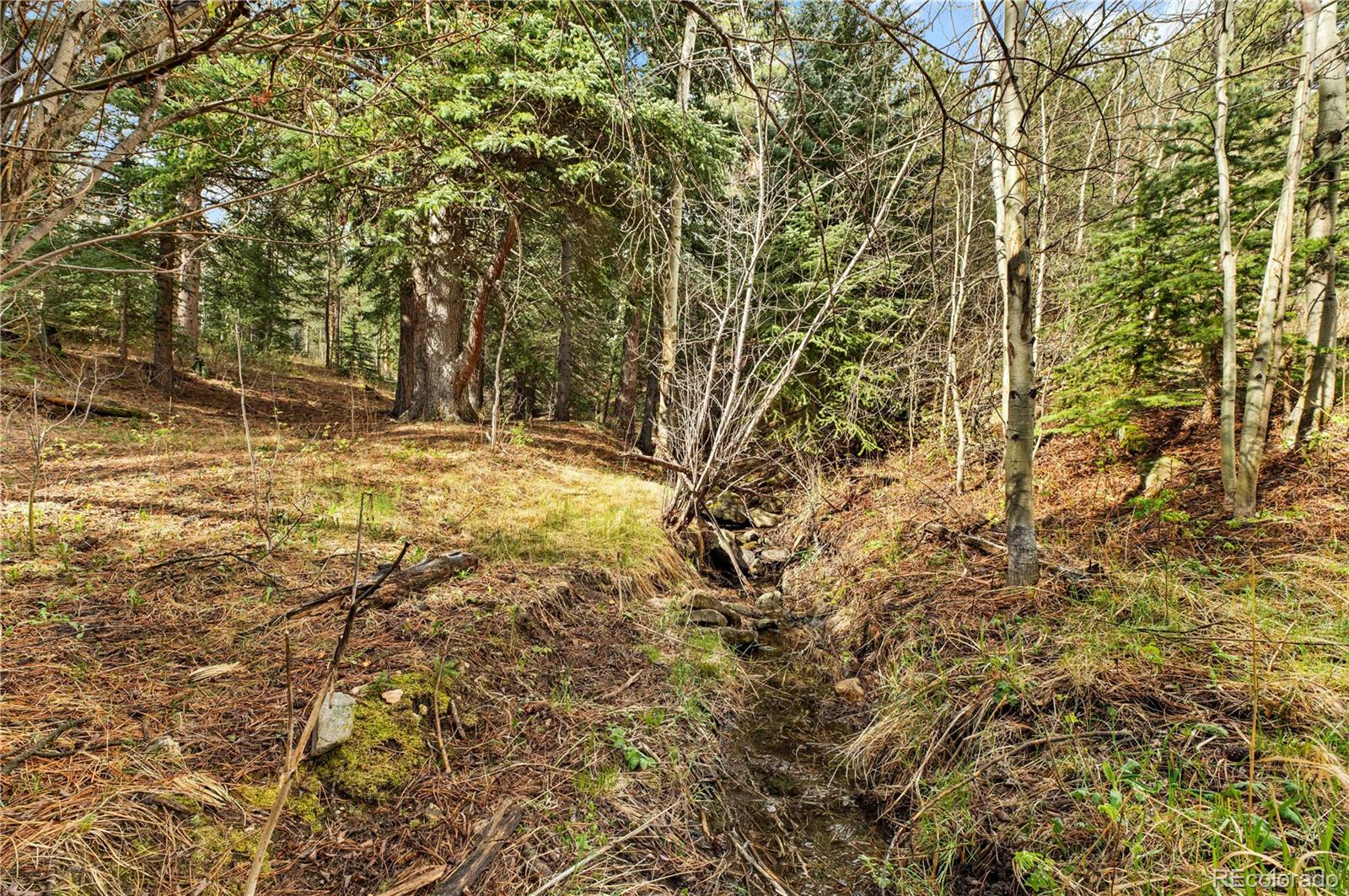 MLS Image #38 for 8477  drew hill road,golden, Colorado