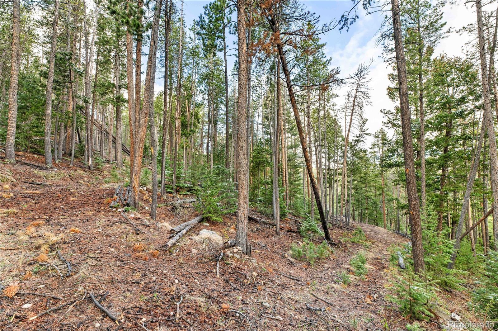 MLS Image #39 for 8477  drew hill road,golden, Colorado