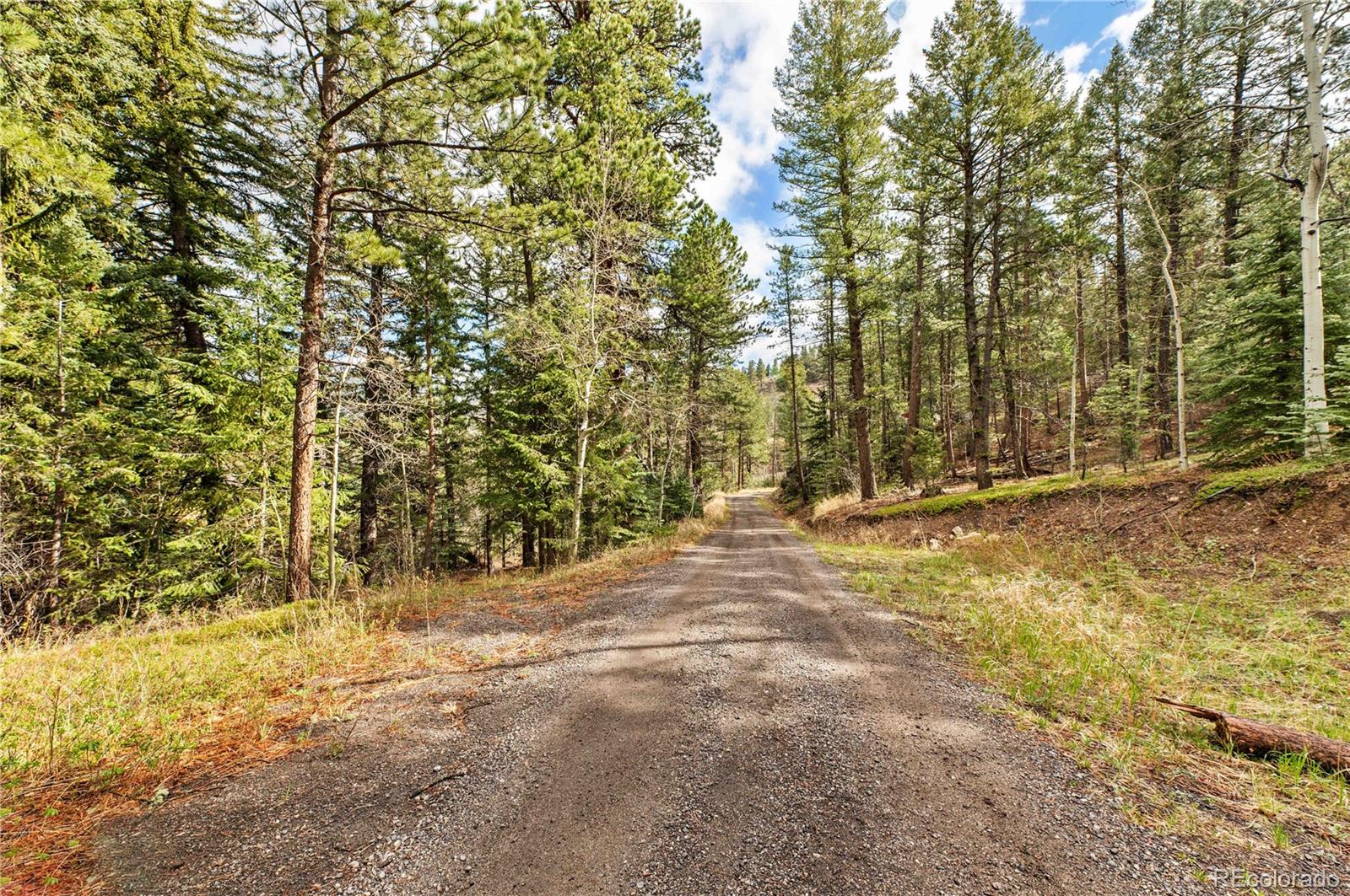 MLS Image #41 for 8477  drew hill road,golden, Colorado