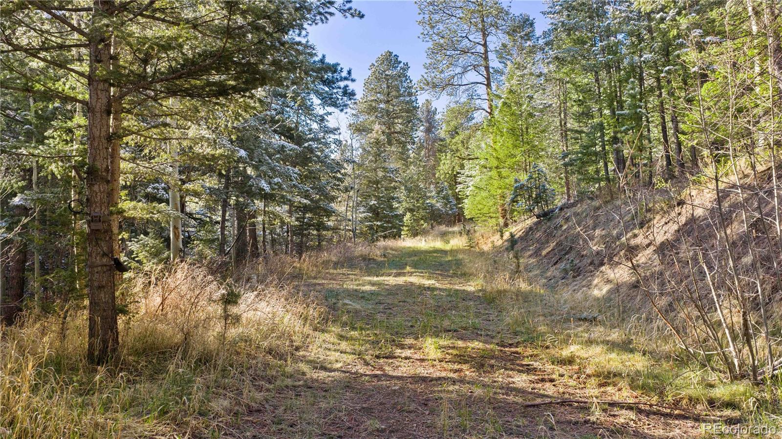 MLS Image #42 for 8477  drew hill road,golden, Colorado