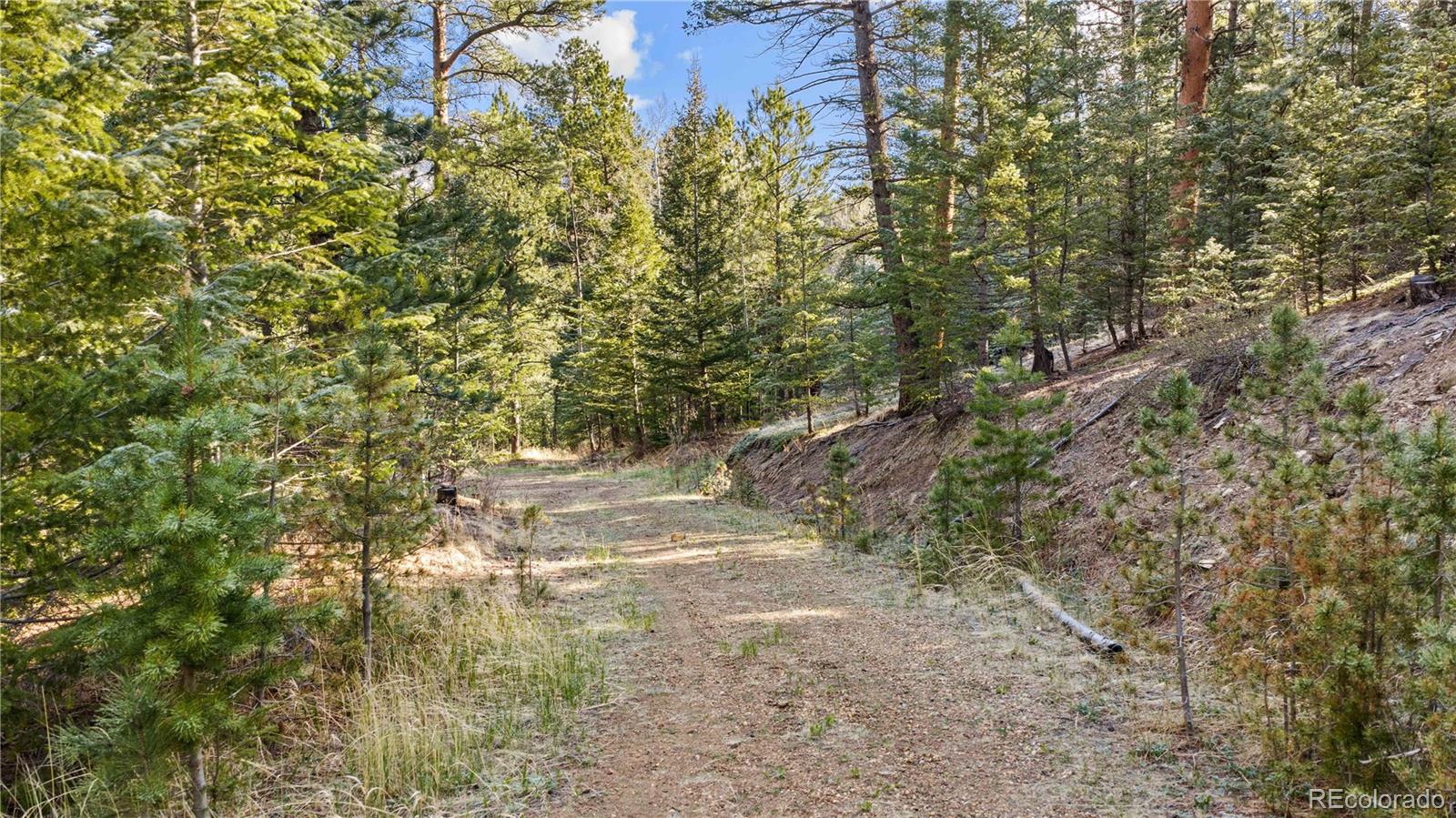 MLS Image #43 for 8477  drew hill road,golden, Colorado