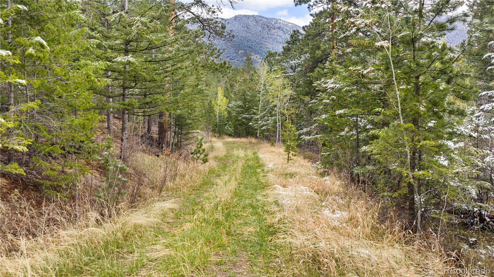 MLS Image #45 for 8477  drew hill road,golden, Colorado