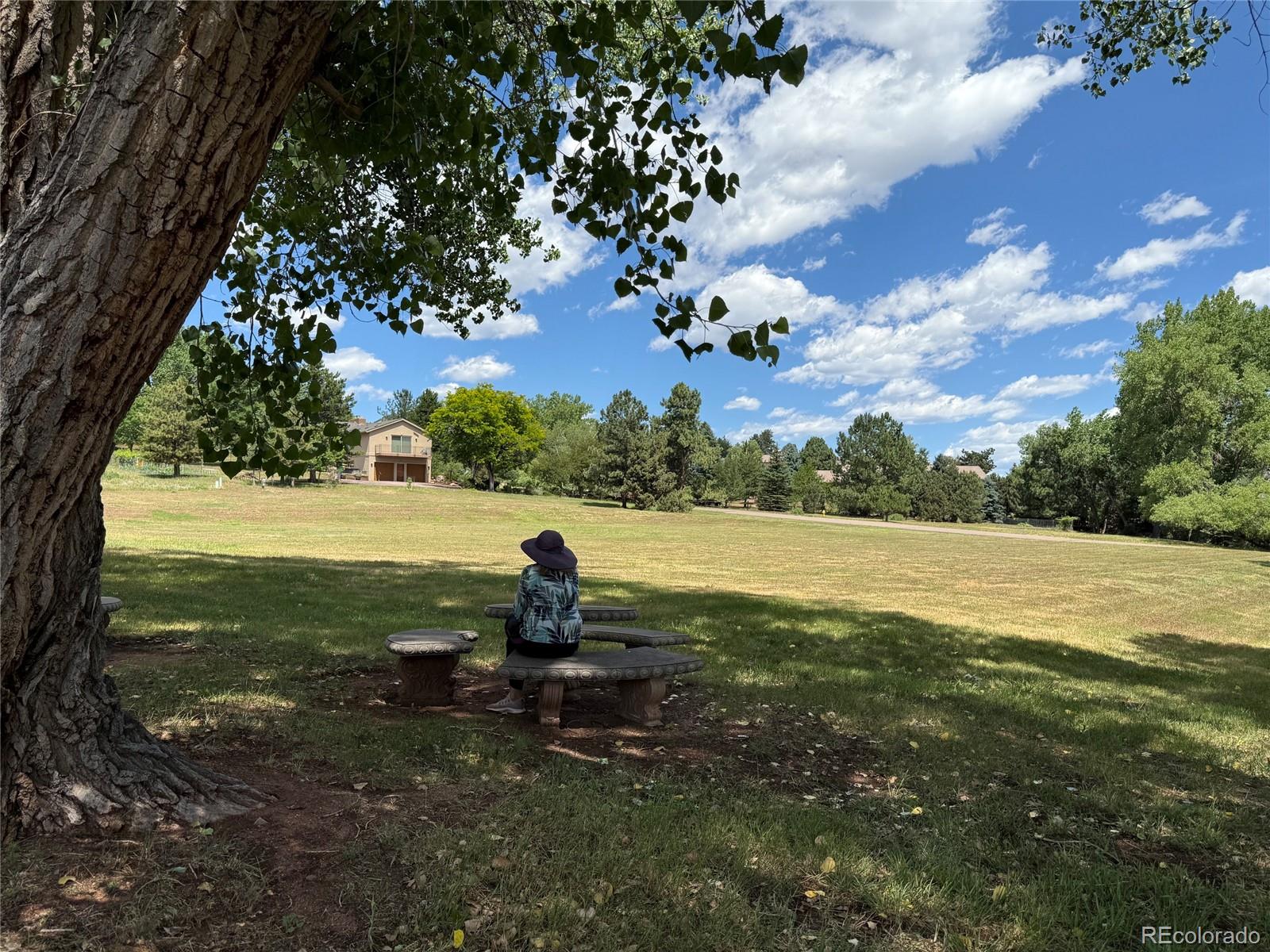 MLS Image #42 for 6115  meadowbrook drive,morrison, Colorado