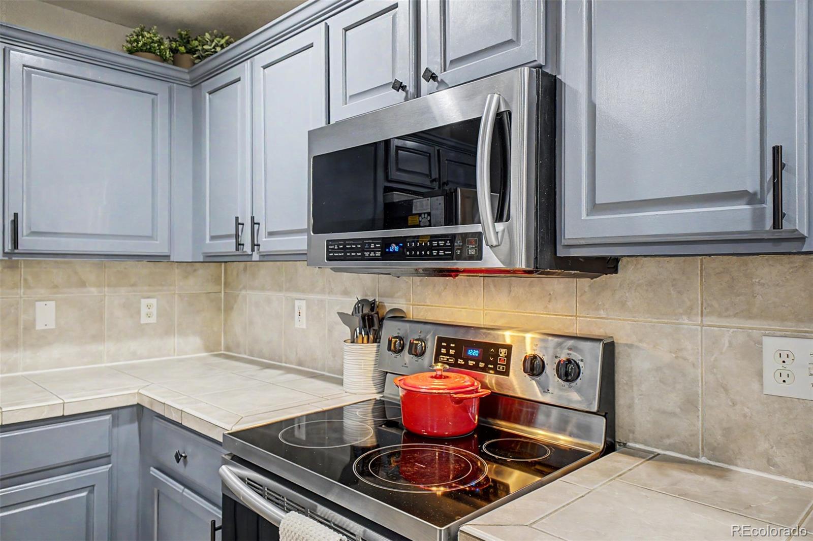 MLS Image #12 for 9622  elk mountain circle,littleton, Colorado