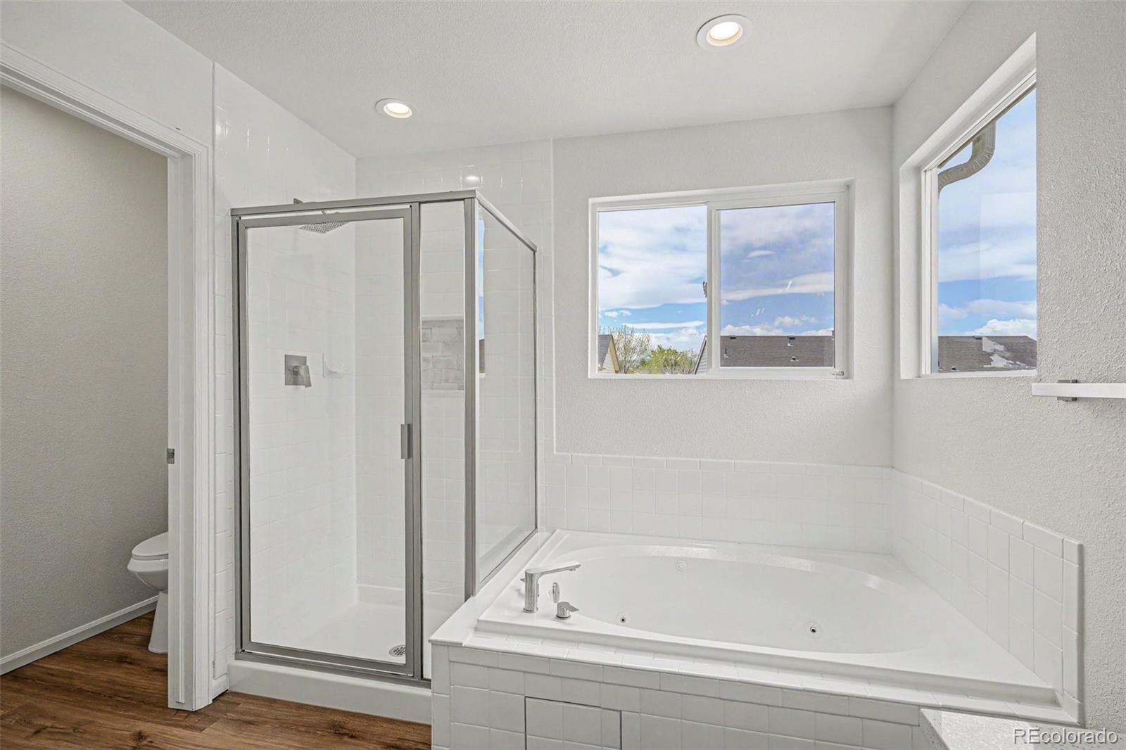 MLS Image #18 for 9404  painted canyon circle,highlands ranch, Colorado