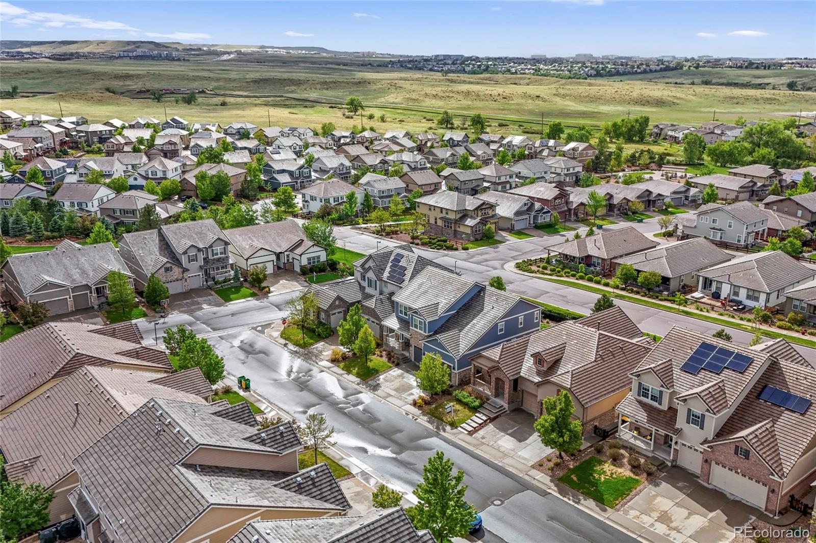 MLS Image #4 for 14080  sierra ridge circle,parker, Colorado
