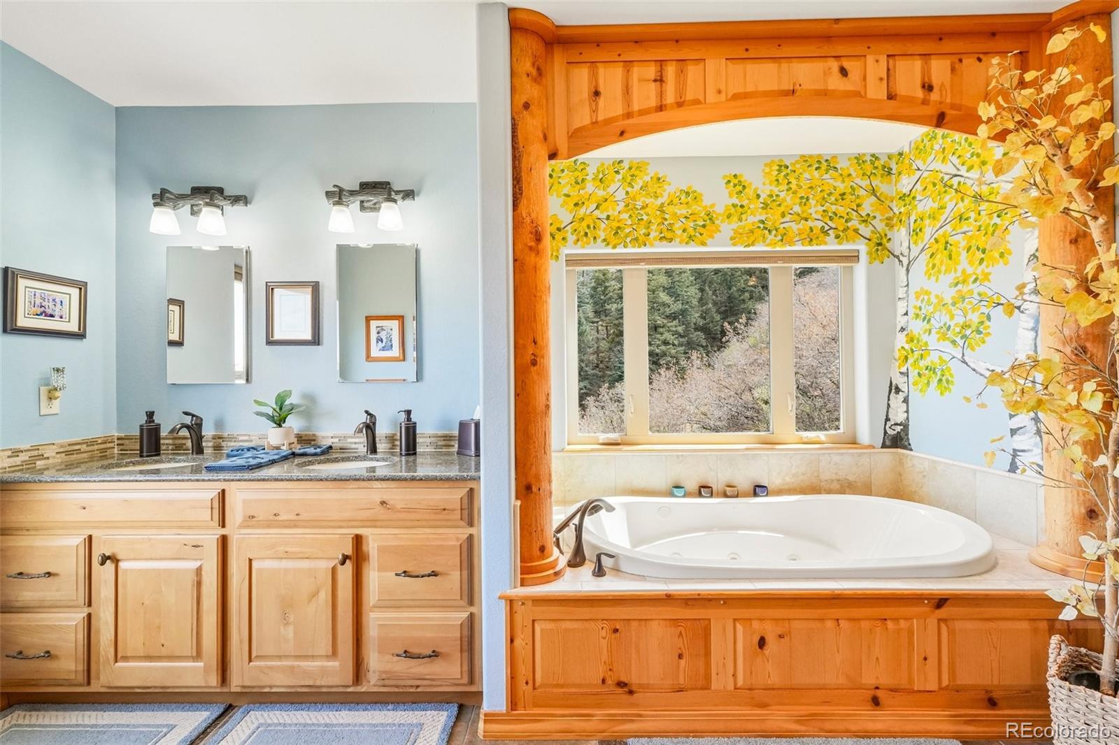 MLS Image #29 for 858  oak ridge road,manitou springs, Colorado