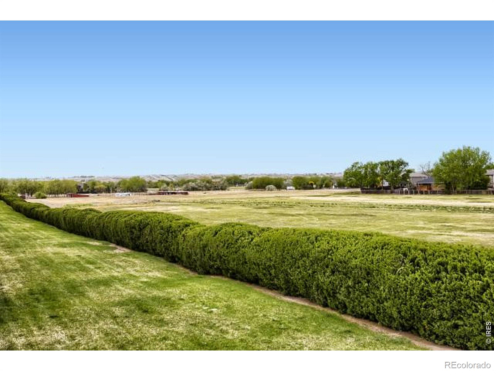 MLS Image #22 for 557  trailwood circle,windsor, Colorado