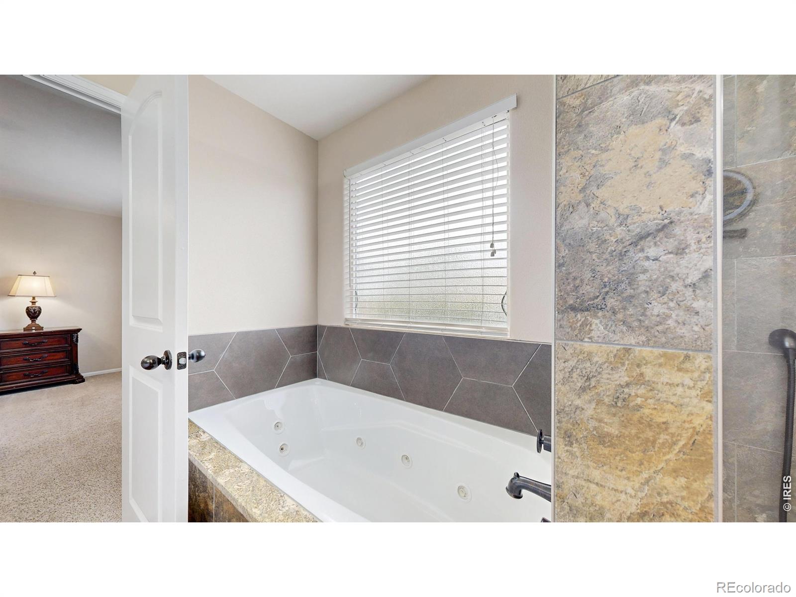 MLS Image #20 for 496  expedition lane,johnstown, Colorado