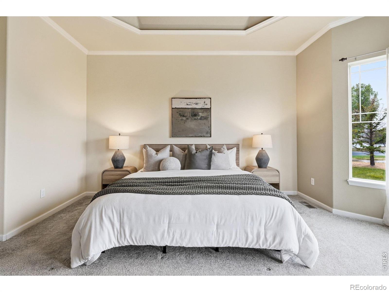 MLS Image #22 for 16619  las brisas drive,broomfield, Colorado