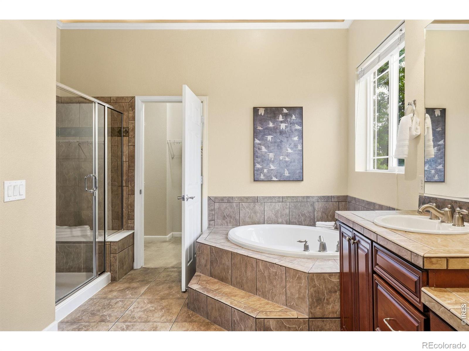 MLS Image #27 for 16619  las brisas drive,broomfield, Colorado