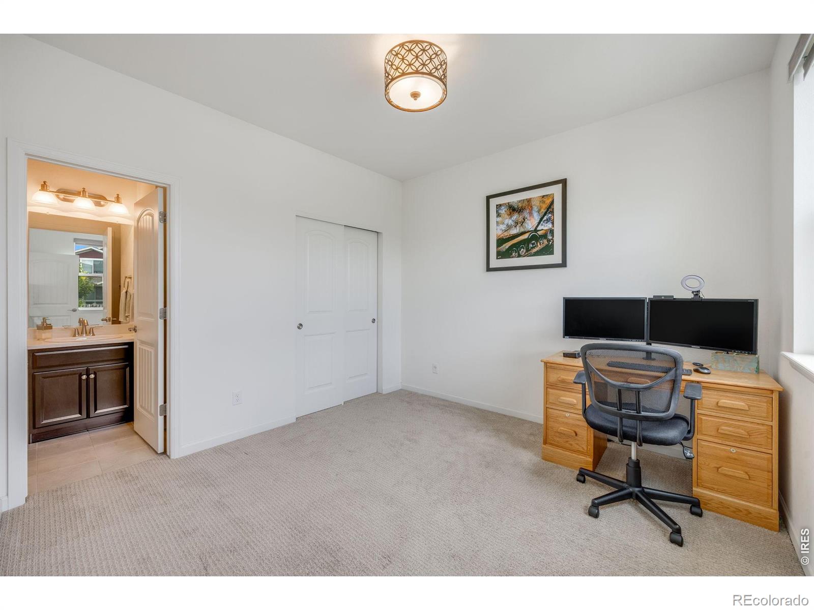 MLS Image #19 for 4103  saltbrush court,loveland, Colorado