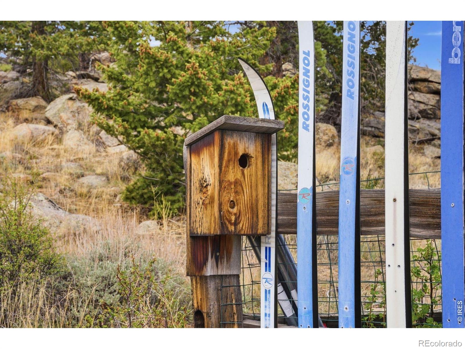 MLS Image #31 for 35  stellar jay circle,red feather lakes, Colorado