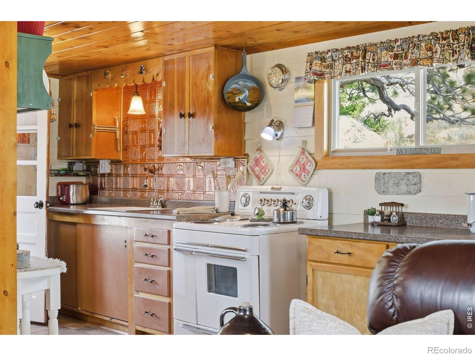 MLS Image #8 for 35  stellar jay circle,red feather lakes, Colorado