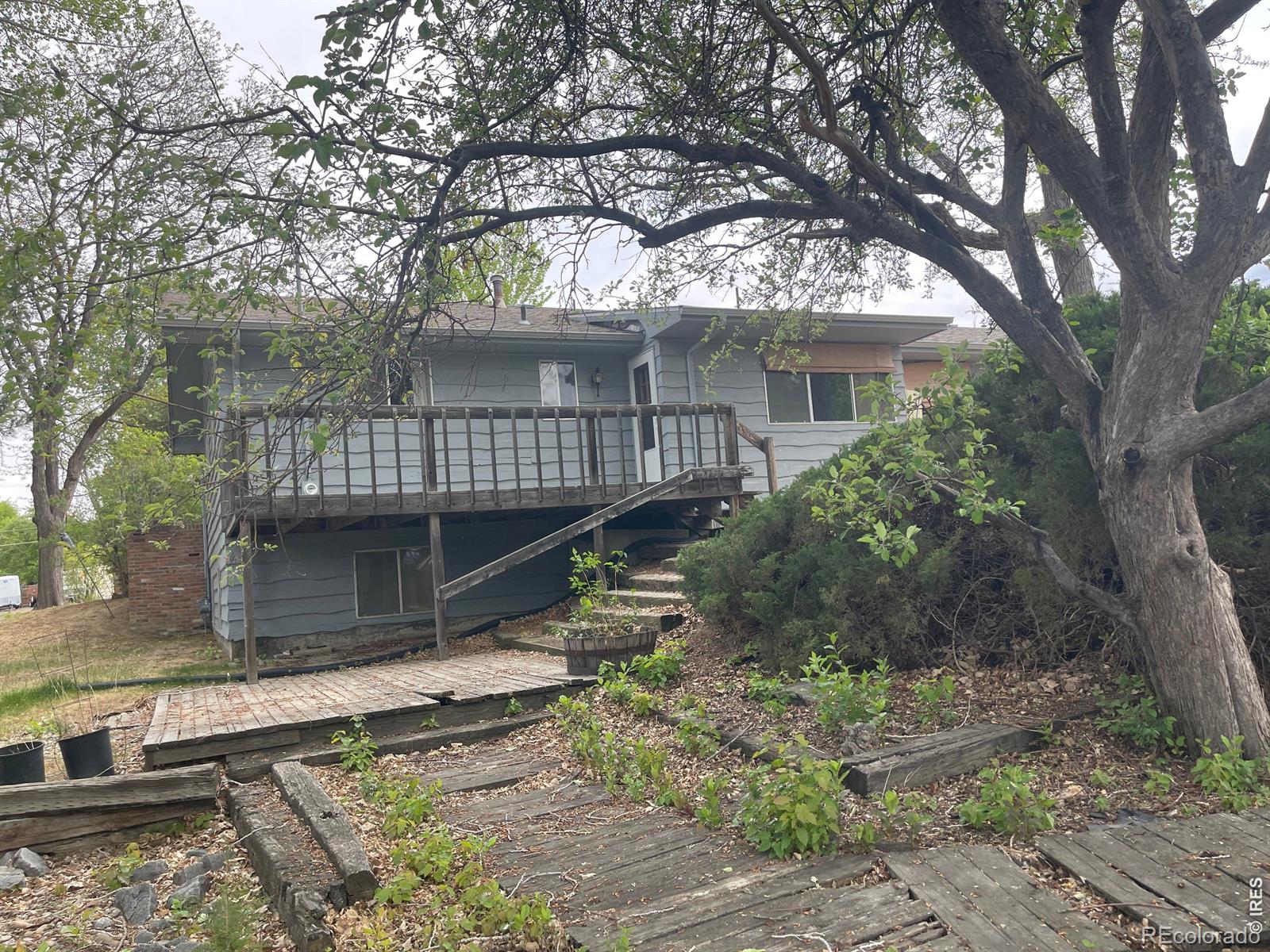 MLS Image #3 for 7057  elm street,niwot, Colorado