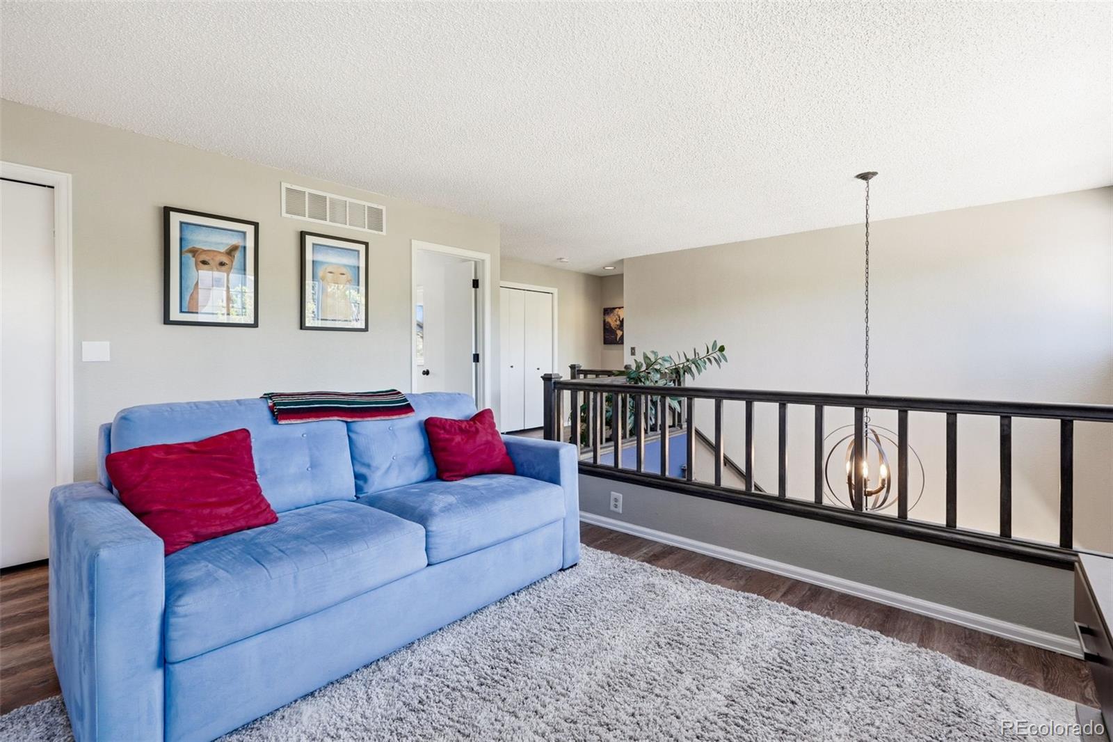MLS Image #24 for 9205  madras court,highlands ranch, Colorado