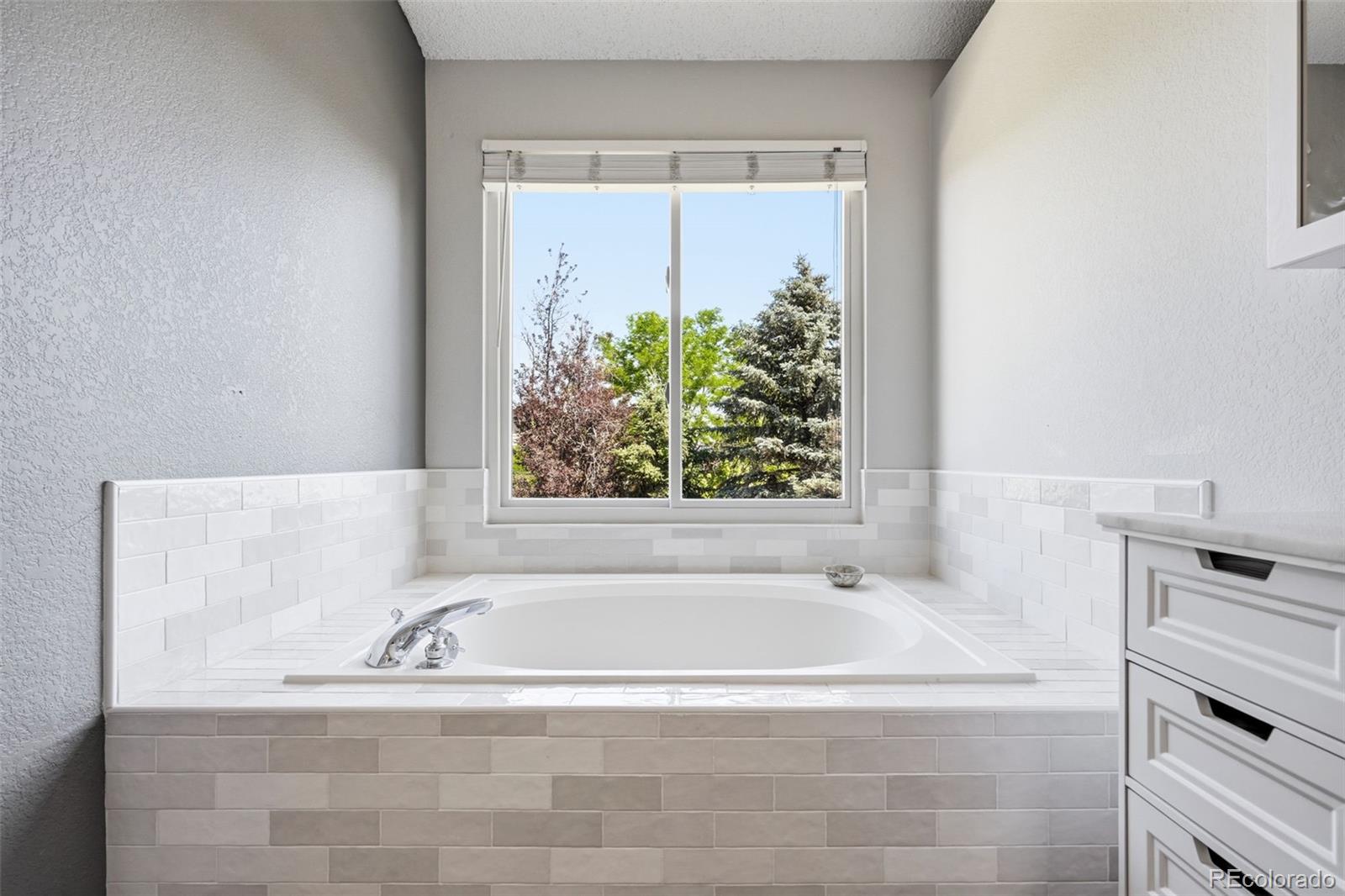 MLS Image #28 for 9205  madras court,highlands ranch, Colorado