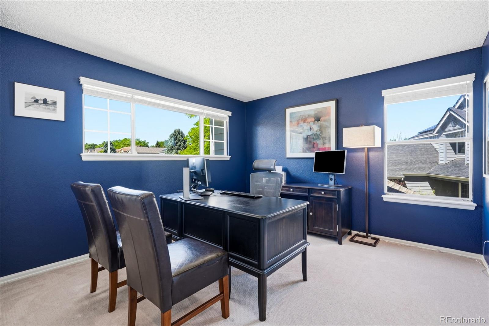 MLS Image #29 for 9205  madras court,highlands ranch, Colorado