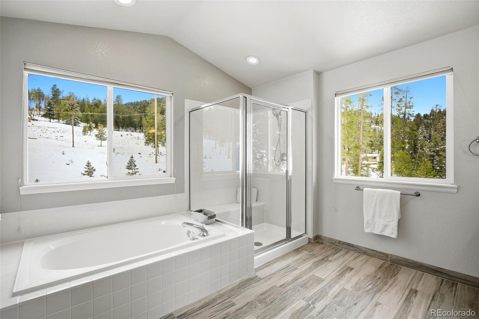 MLS Image #17 for 7291  brook forest drive,evergreen, Colorado