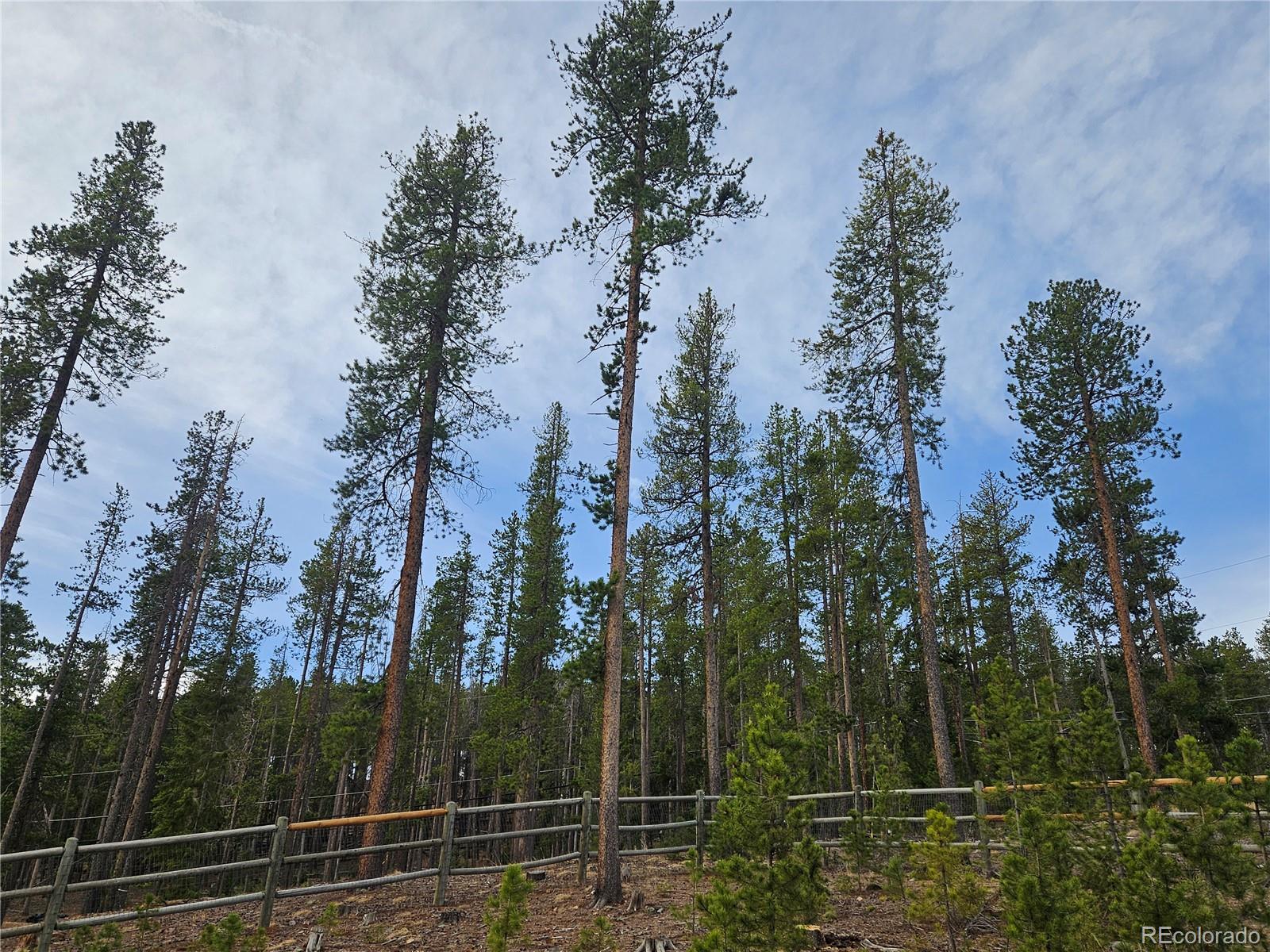 MLS Image #29 for 7291  brook forest drive,evergreen, Colorado