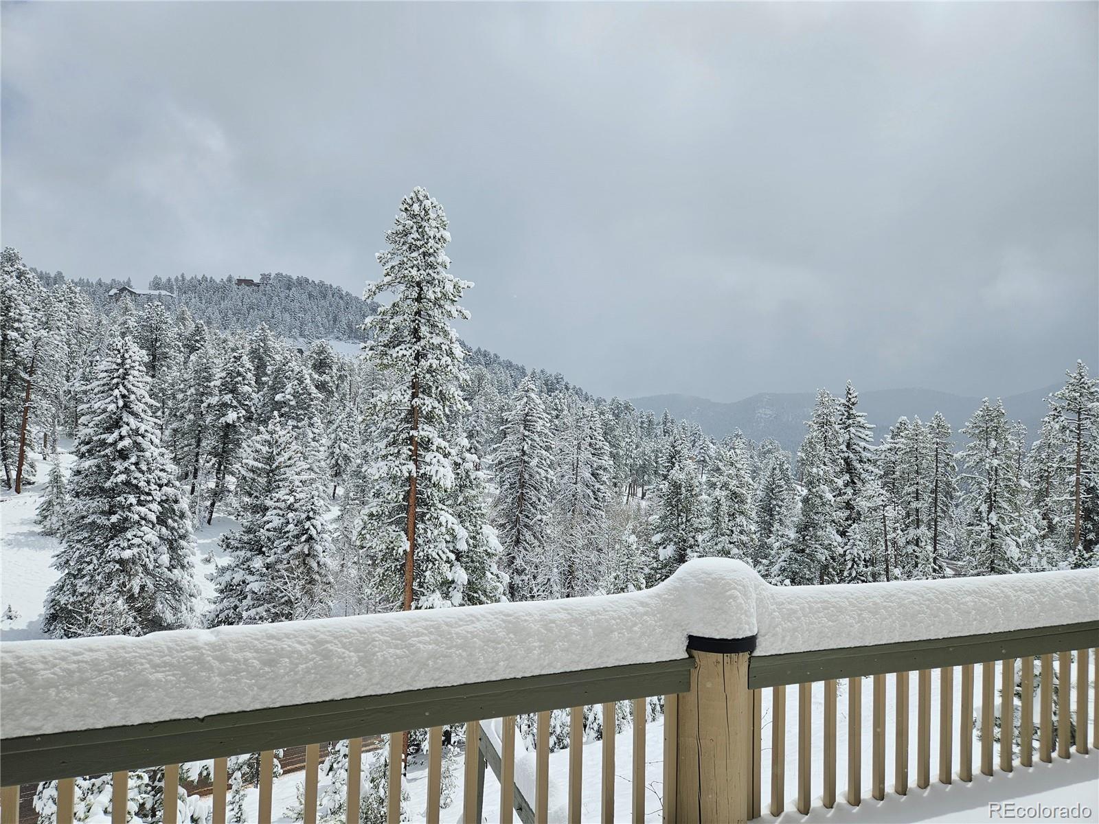 MLS Image #3 for 7291  brook forest drive,evergreen, Colorado