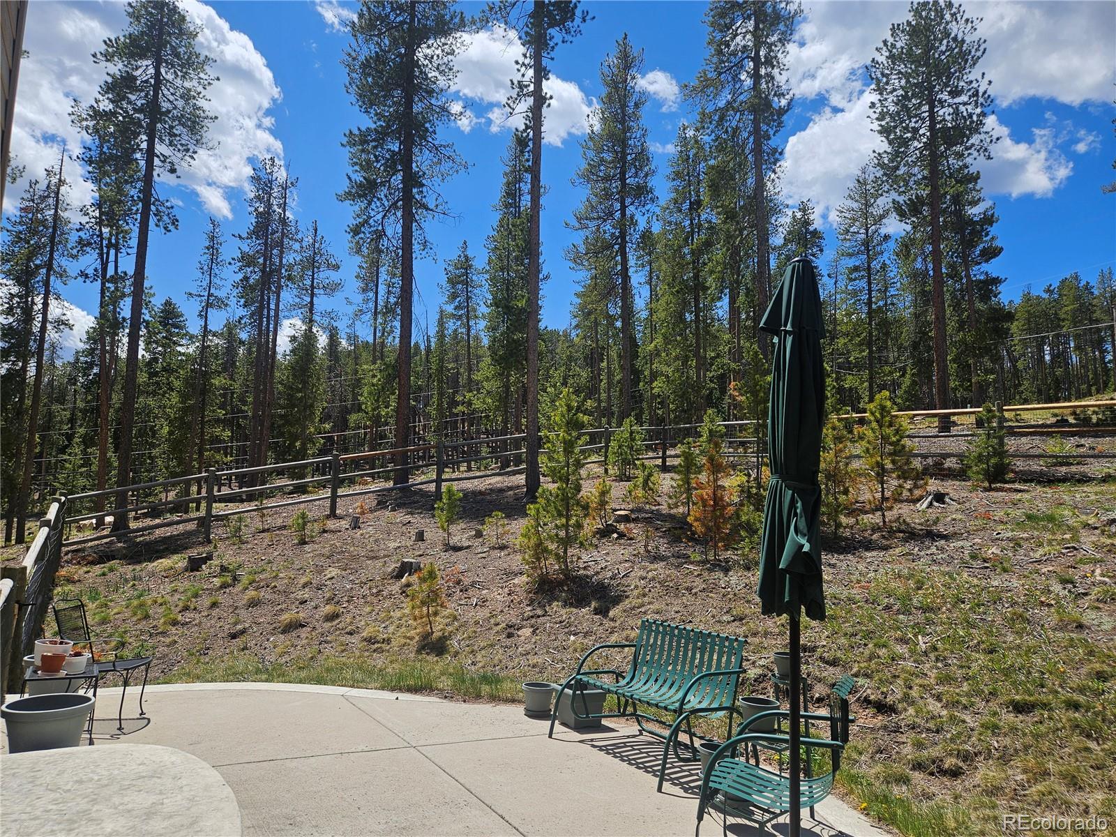 MLS Image #30 for 7291  brook forest drive,evergreen, Colorado