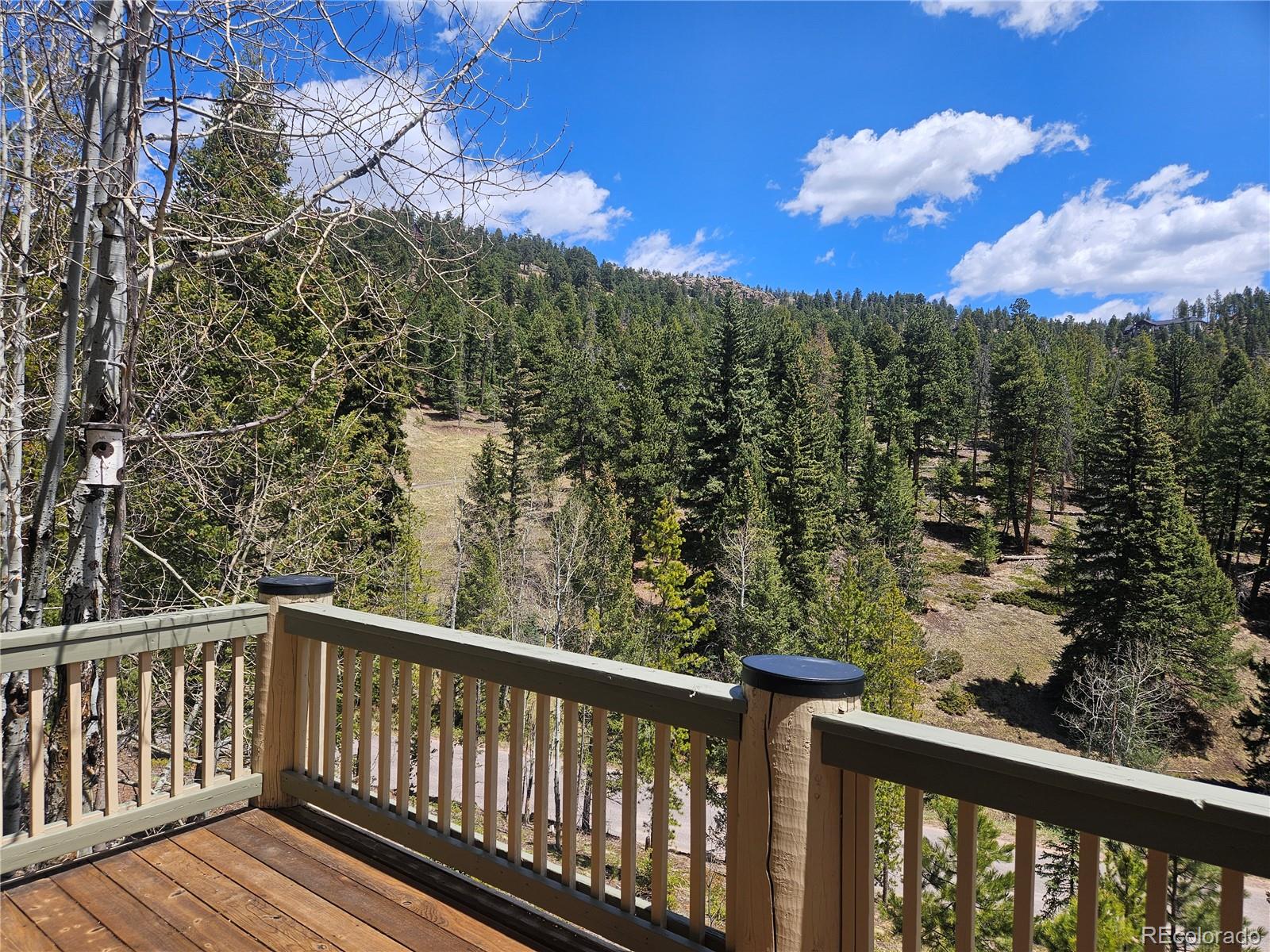 MLS Image #43 for 7291  brook forest drive,evergreen, Colorado