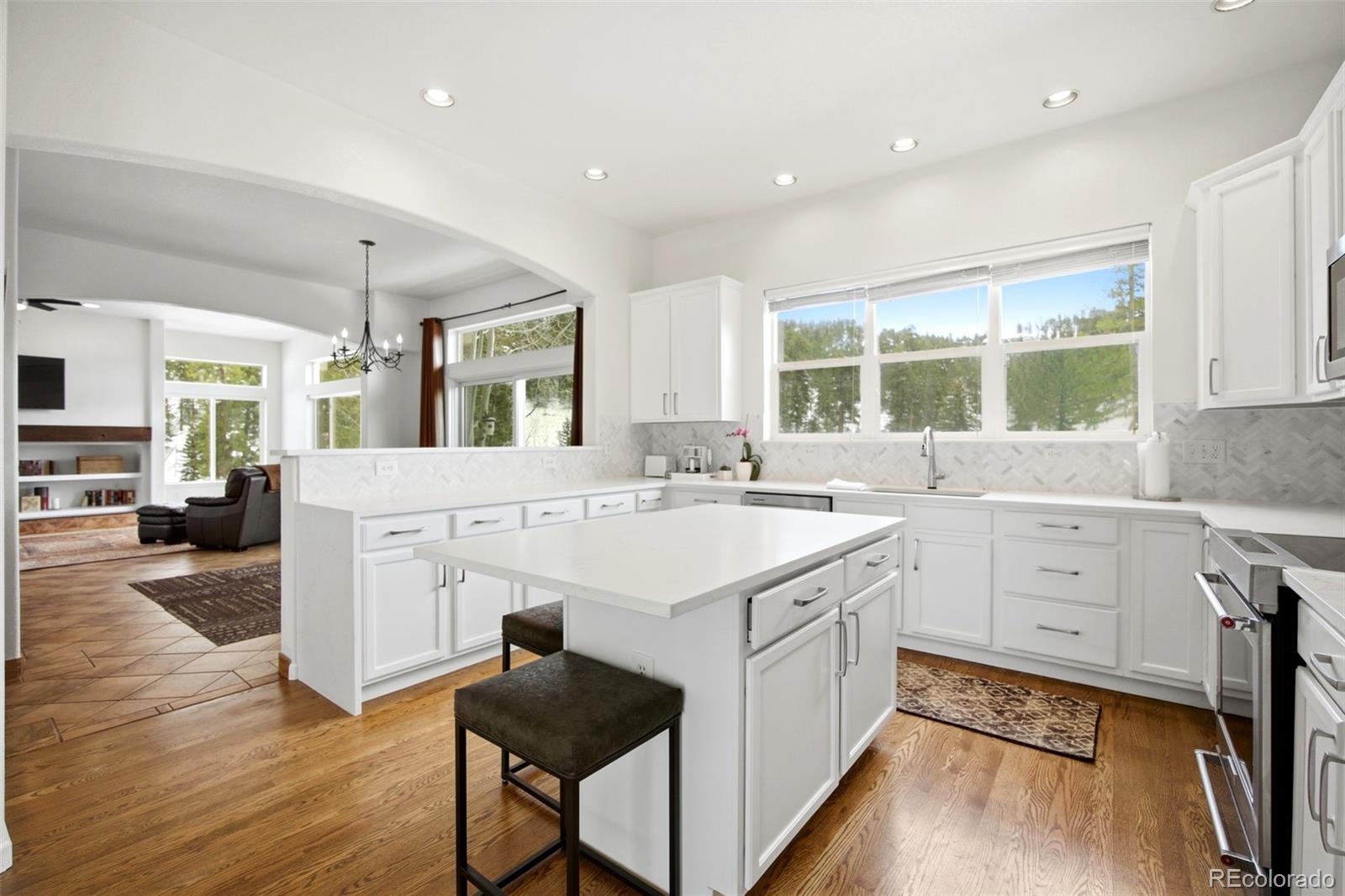 MLS Image #6 for 7291  brook forest drive,evergreen, Colorado