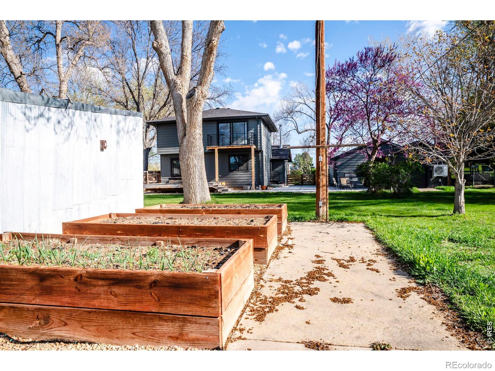 MLS Image #15 for 7800  hygiene road,longmont, Colorado