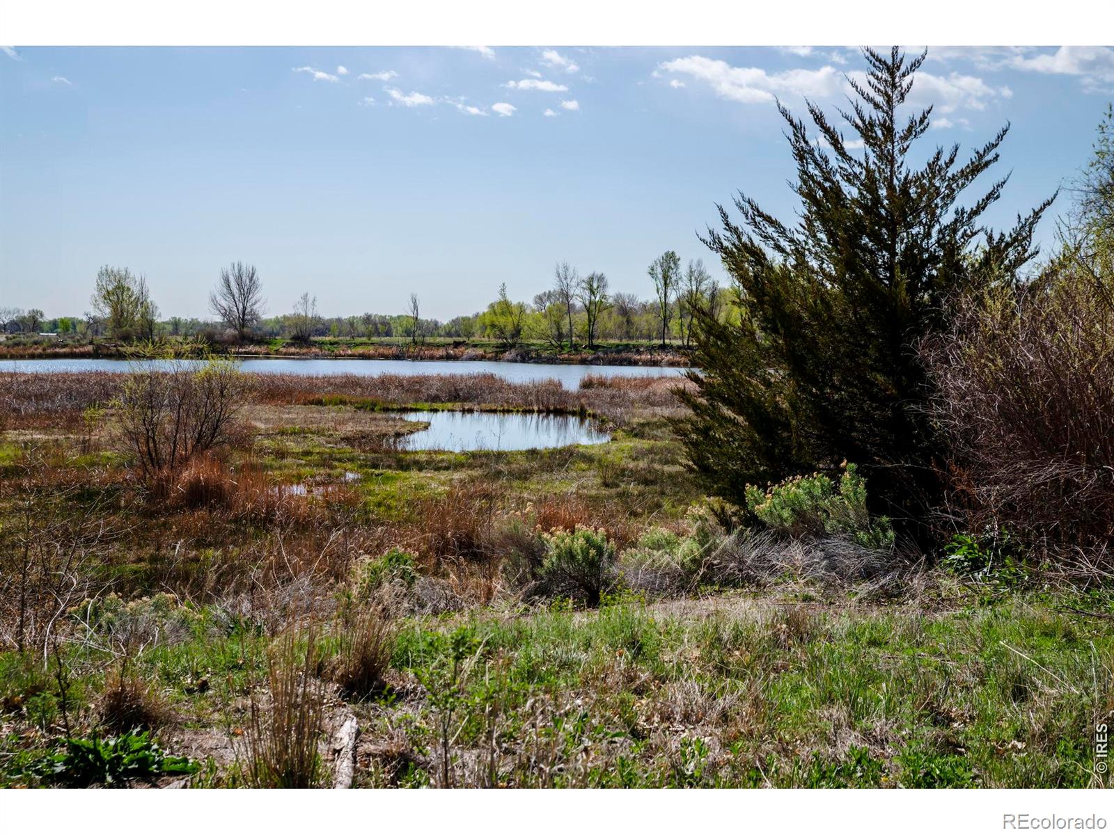 MLS Image #19 for 7800  hygiene road,longmont, Colorado