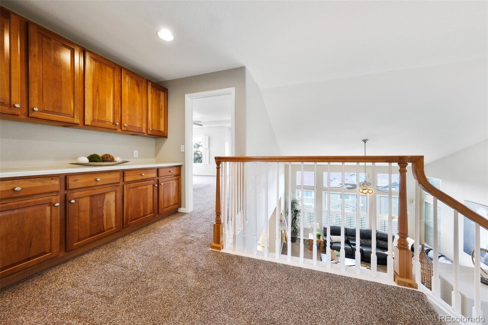MLS Image #22 for 2909  oakshire court,highlands ranch, Colorado
