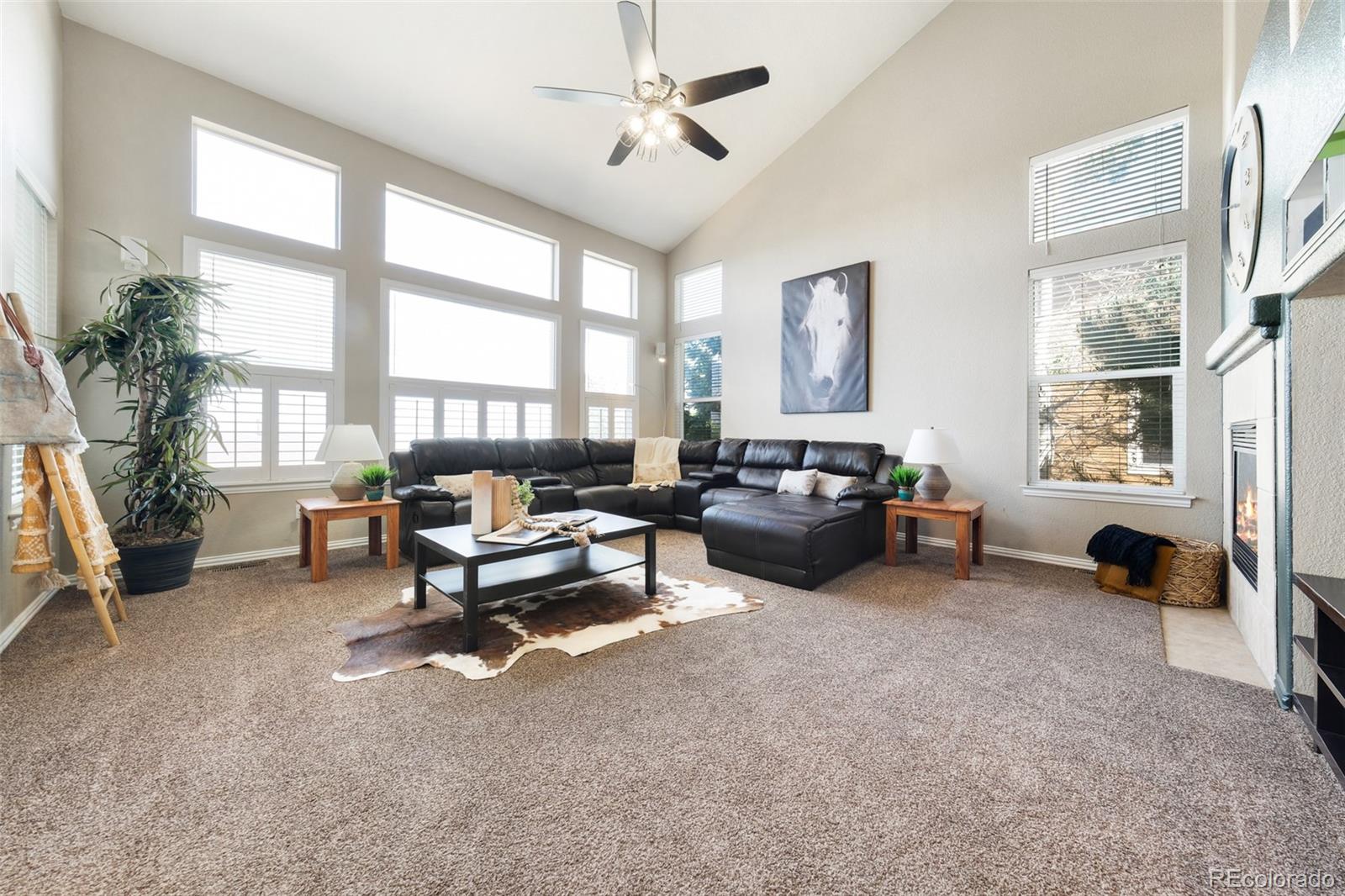 MLS Image #6 for 2909  oakshire court,highlands ranch, Colorado