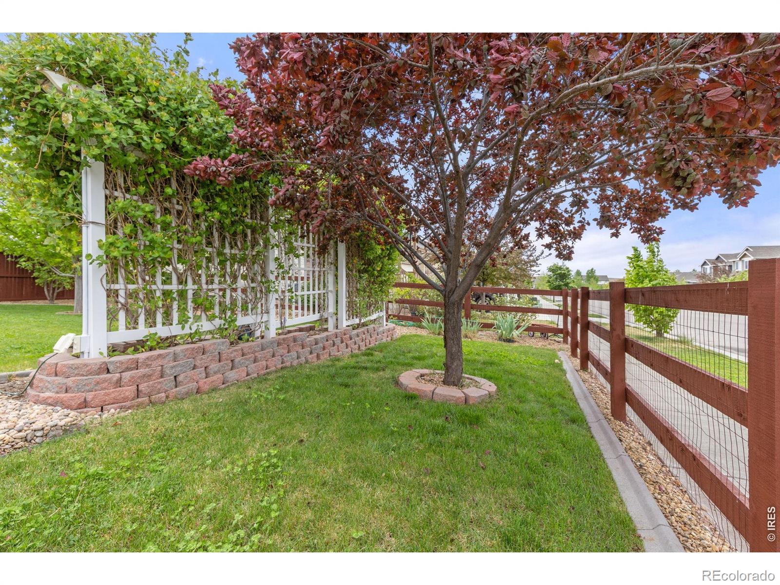 MLS Image #20 for 1531  new season drive,windsor, Colorado
