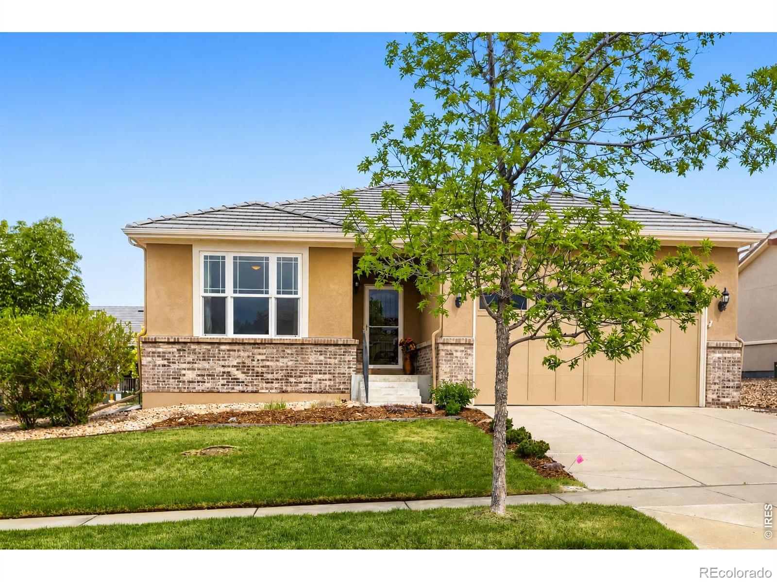 MLS Image #25 for 16262  red mountain way,broomfield, Colorado