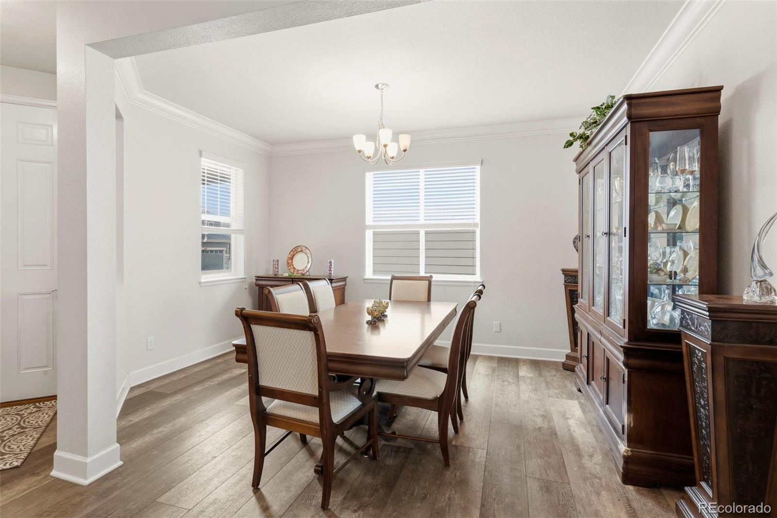 MLS Image #8 for 7359  blue water drive,castle rock, Colorado