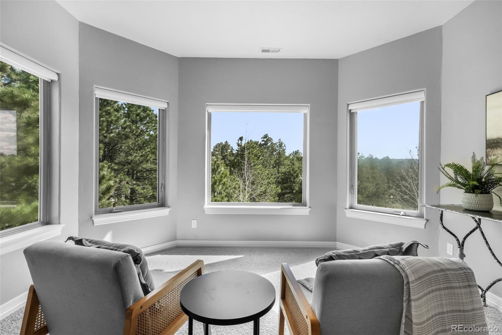 MLS Image #23 for 450 e stirrup trail,monument, Colorado