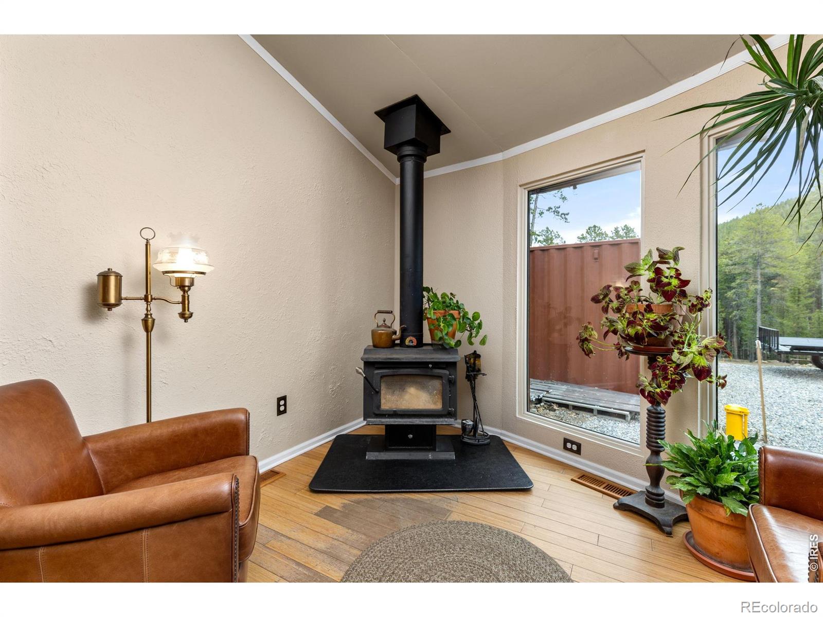 MLS Image #10 for 307  dudes drive,rollinsville, Colorado