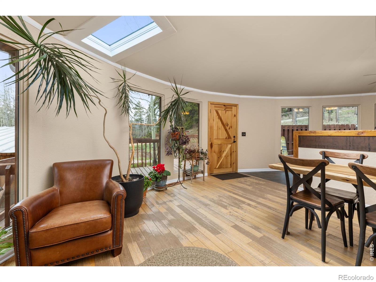MLS Image #11 for 307  dudes drive,rollinsville, Colorado