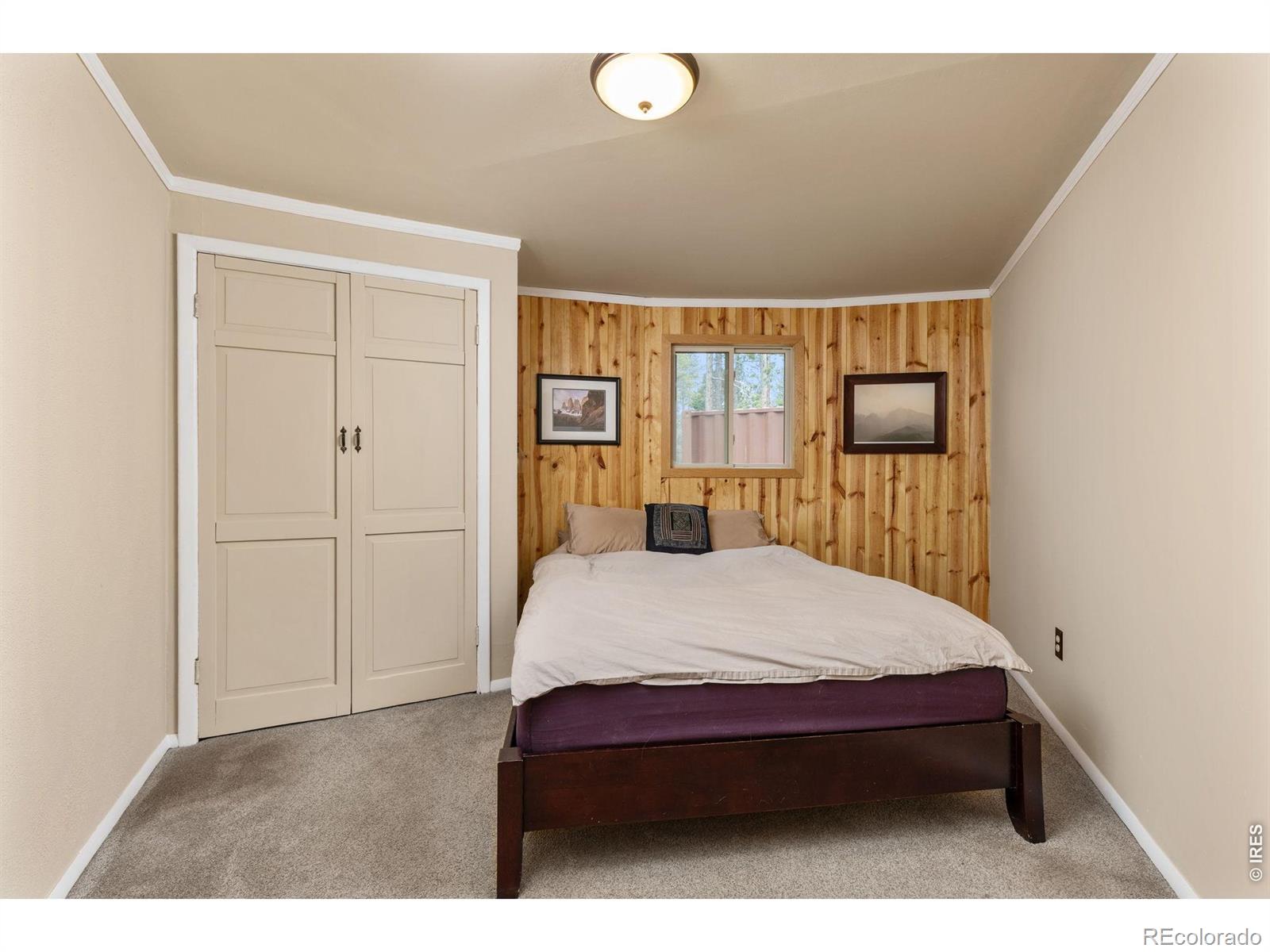 MLS Image #16 for 307  dudes drive,rollinsville, Colorado