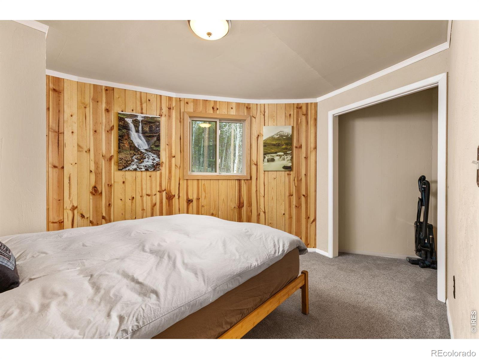 MLS Image #18 for 307  dudes drive,rollinsville, Colorado