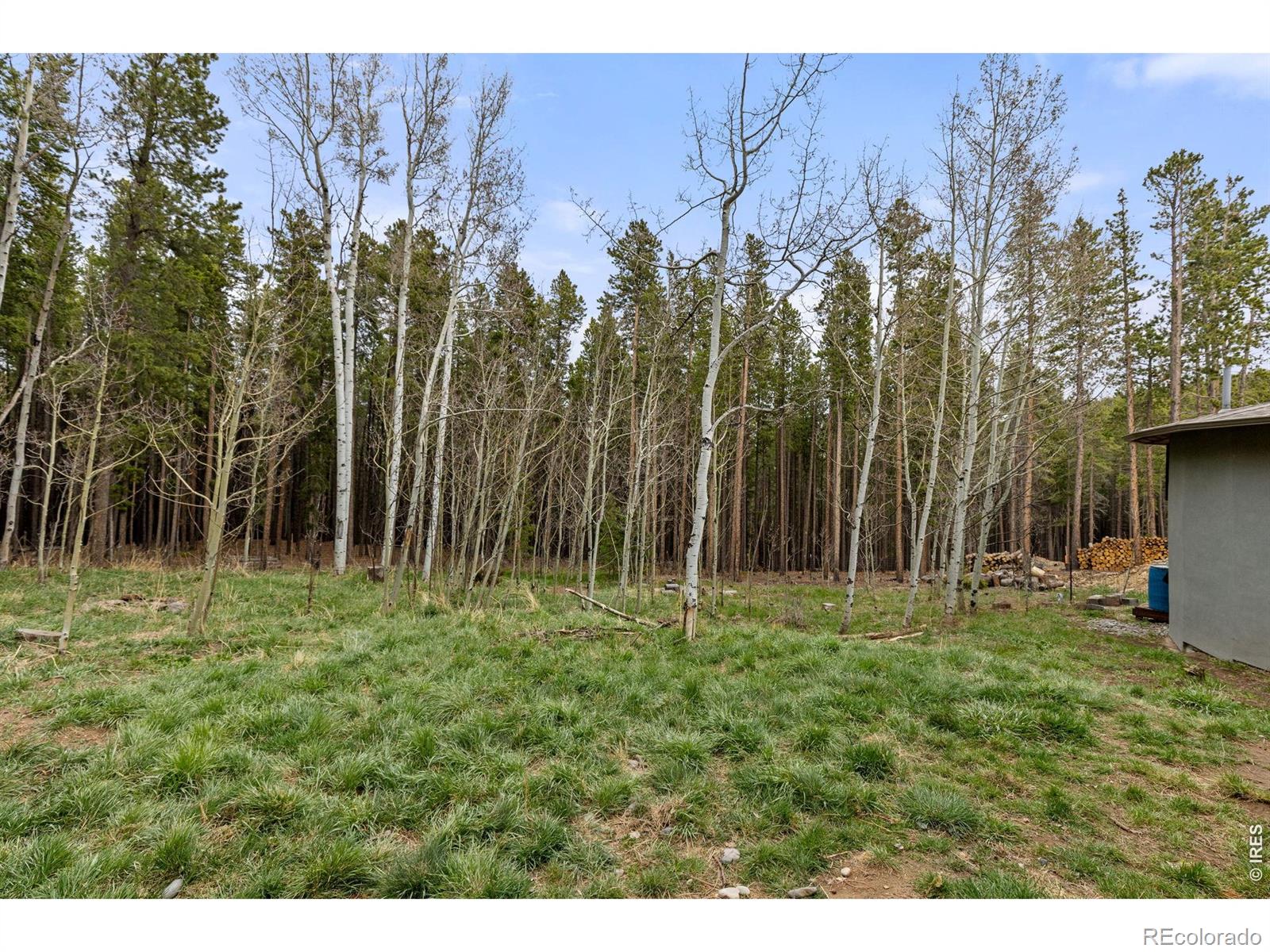 MLS Image #31 for 307  dudes drive,rollinsville, Colorado